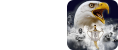 live 4k